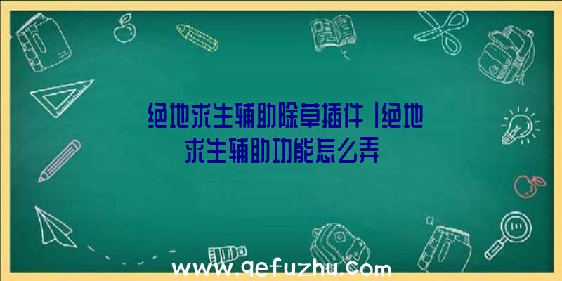 「绝地求生辅助除草插件」|绝地求生辅助功能怎么弄